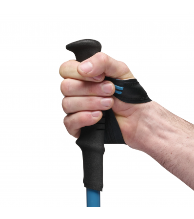 Щеки Black Diamond Distance Carbon FLZ Poles