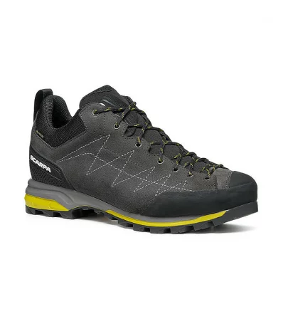 Scarpa Zodiac GTX M's