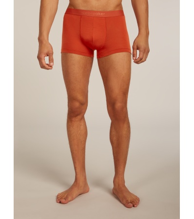 Icebreaker Merino Blend 125 Cool-Lite Anatomica Trunks