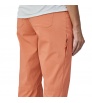Patagonia Quandary Pants Regular W's